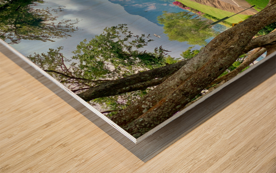 Road to Khao Sok Lake Thailand Wood print