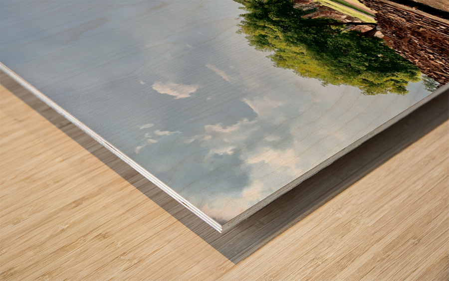 Ayutthaya Historical Park Temples 9 Wood print