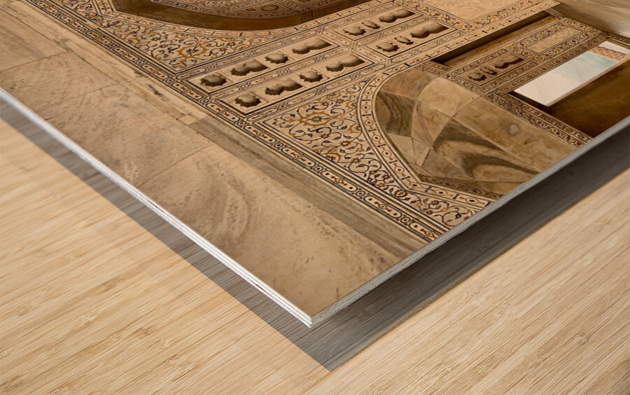 Agra Fort 9 Wood print